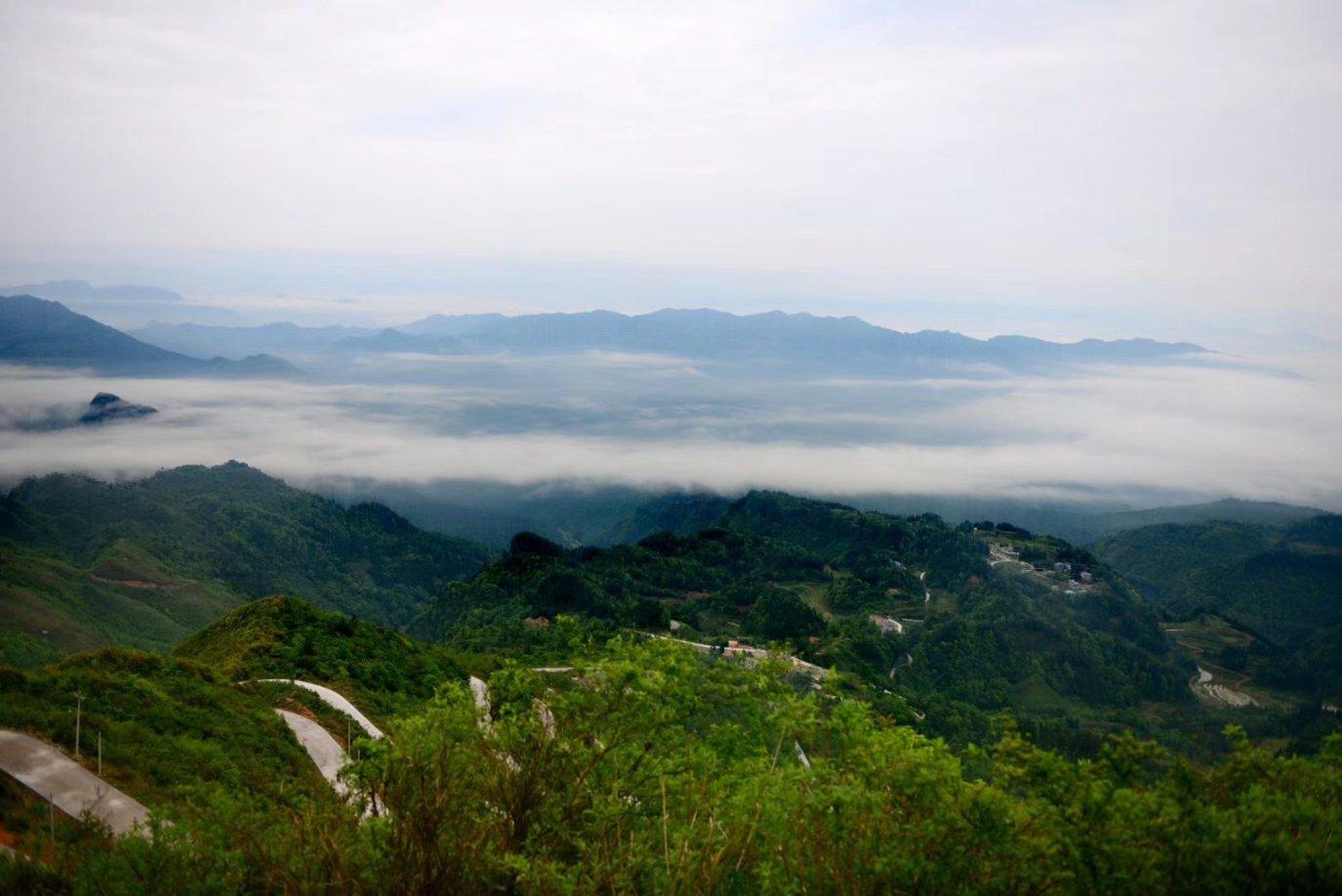 海盗的寻宝之旅