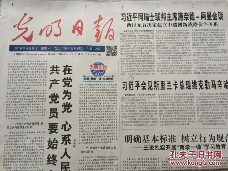 树舌是什么？游戏画面